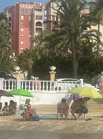 In * Torrevieja